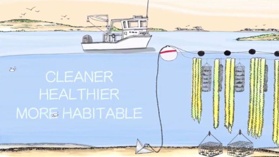 Nhìn lại 10 phát minh công nghệ hữu ích nhất năm 2017 - 7