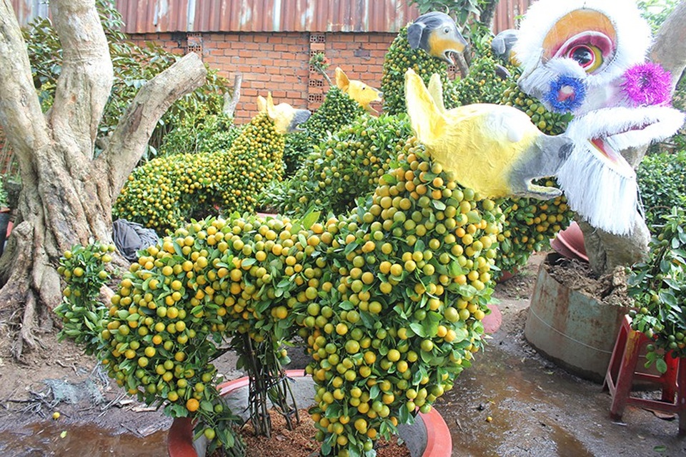 Hốt bạc nhờ “hóa phép” cây quất thành hình thù độc đáo - 1 Những cây quất được các nghệ nhân tạo hình thành con chó trông rất đẹp mắt