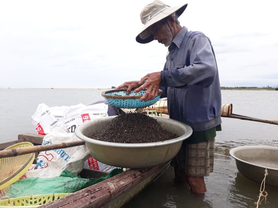 Quảng Ngãi: Nhọc nhằn đãi cát tìm hến nơi cửa sông - 4 Bắt đầu công việc từ 4h sáng đến trưa, ông Tân nhủi được 40 kg hến thu về 200 ngàn đồng