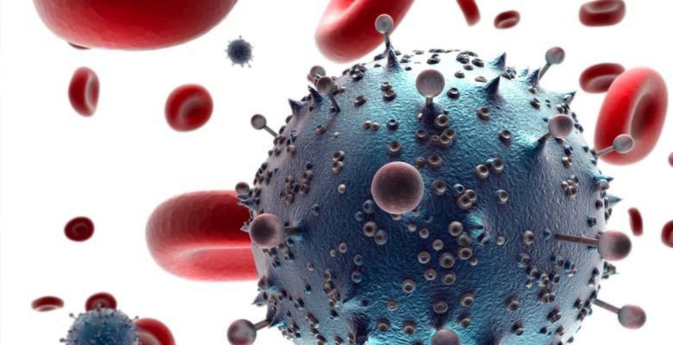 Sử dụng virut loại bỏ các tế bào nhiễm HIV - 1 Sử dụng virut loại bỏ các tế bào nhiễm HIV - 1