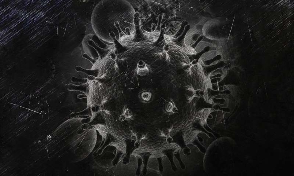 Công cụ mới theo dõi chính xác các ca mới nhiễm HIV - 1