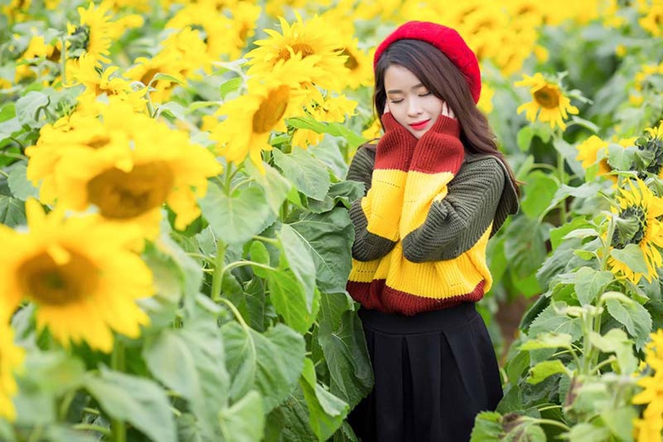 Nữ sinh xứ Nghệ “gây thương nhớ” với bộ ảnh ở cánh đồng hoa hướng dương - 12 Nữ sinh xứ Nghệ “gây thương nhớ” với bộ ảnh ở cánh đồng hoa hướng dương - 12