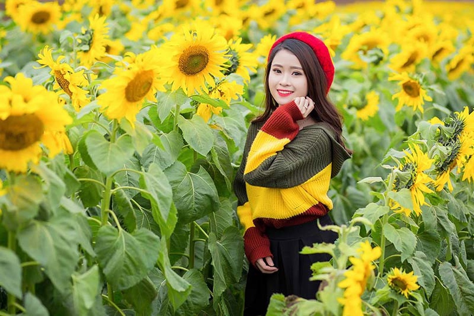 Nữ sinh xứ Nghệ “gây thương nhớ” với bộ ảnh ở cánh đồng hoa hướng dương - 2
Chia sẻ về bộ ảnh, cô gái sinh năm 1999 cho biết: “Cánh đồng hoa hướng dương đã trở thành điểm du lịch của quê mình, cũng như các bạn trẻ mình muốn ghi lại những khoảnh khắc gần gũi, đáng nhớ trên chính mảnh đất này”.