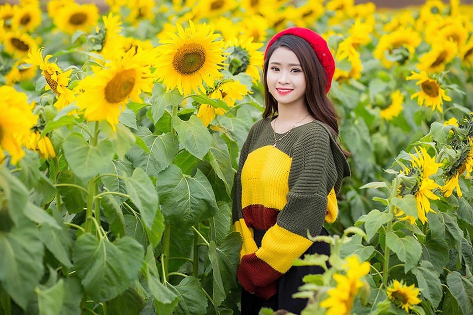 Nữ sinh xứ Nghệ “gây thương nhớ” với bộ ảnh ở cánh đồng hoa hướng dương - 3
Sở thích của Hằng là đọc sách, đi thăm thú đây đó để mở rộng vốn hiểu biết của bản thân.