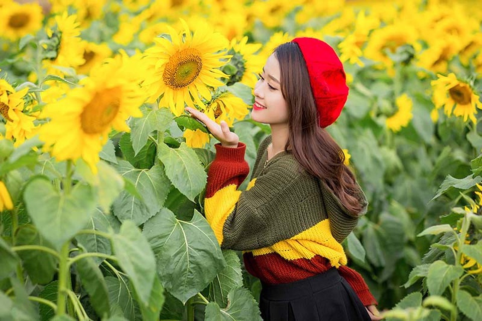 Nữ sinh xứ Nghệ “gây thương nhớ” với bộ ảnh ở cánh đồng hoa hướng dương - 5
Nguyệt Hằng còn tâm sự thêm rằng ước mơ chính của cô là được làm đẹp cho mọi người, cô có niềm đam mê mãnh liệt với nghề trang điểm.