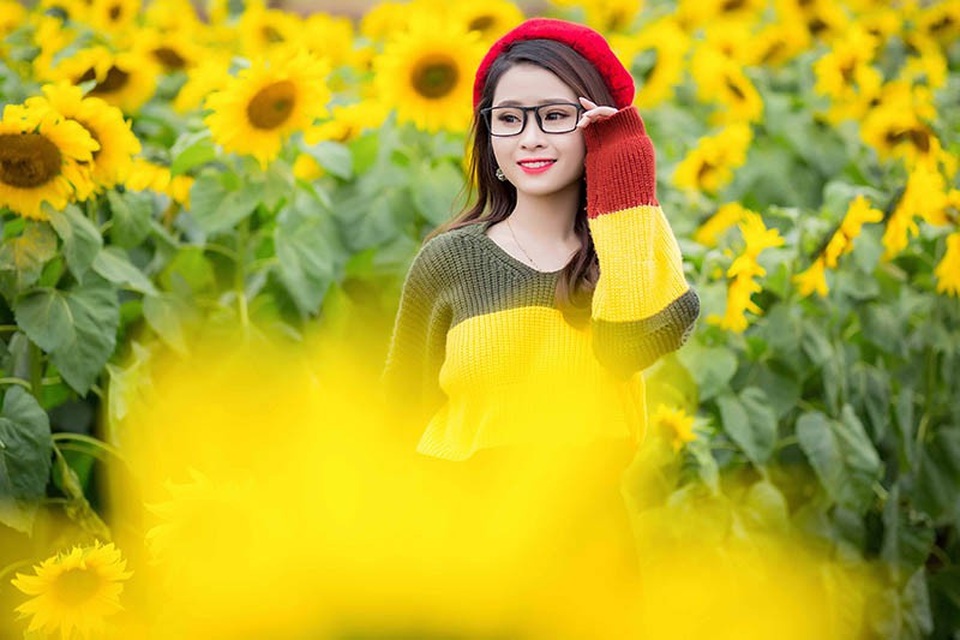 Nữ sinh xứ Nghệ “gây thương nhớ” với bộ ảnh ở cánh đồng hoa hướng dương - 6
Trong bộ ảnh, cô chọn trang phục nhẹ nhàng. Mọi cảm xúc và khoảnh khắc được máy ảnh ghi lại rất chân thực, tự nhiên.
