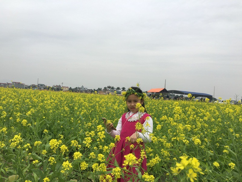 Những em nhỏ thích thú đứng tạo dáng chụp ảnh kỷ niệm đến thăm vườn hoa cải vào dịp cuối tuần.