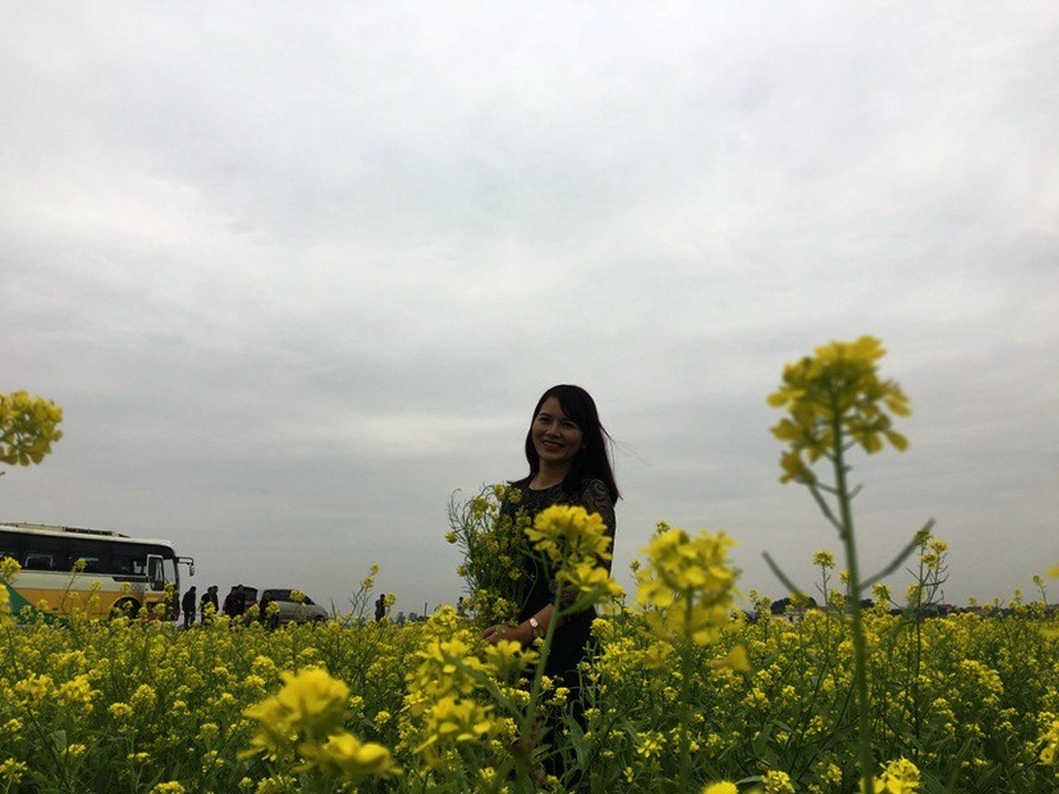 Với ý tưởng nhằm khai thác tối đa hiệu quả sản xuất vụ đông của bà con và hơn hết là tạo điểm nhấn trong thu hút khách du lịch, mô hình vườn hoa cải đã thực sự trở thành điểm đến hấp dẫn với nhiều người dân và du khách thập phương.