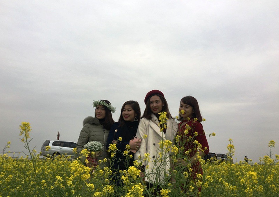 Cánh đồng này là khu vực bà con nông dân trồng cây vụ Đông, tuy nhiên, sau đợt mưa lũ tháng 10/2017 vừa qua, toàn bộ diện tích nơi đây đã bị nhấn chìm trong nước lũ. Từ đó, Hợp tác xã Đông Phương kết hợp với Huyện đoàn Thọ Xuân đưa ra ý tưởng trên. Và nó đã thực sự thu hút đông đảo du khách đến với vùng quê thanh bình này.