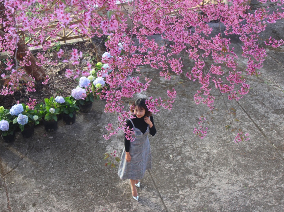 Thiếu nữ e ấp bên hoa