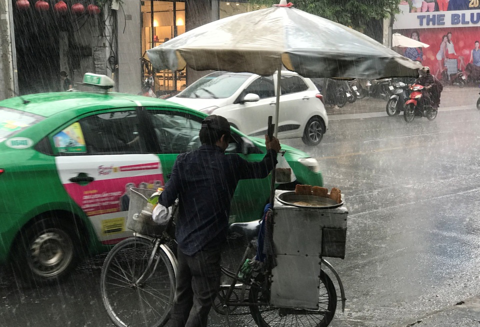 Mưa trái mùa xảy ra suốt trong ngày hôm nay và dự báo vẫn còn trong những ngày tới khiến không ít người lo lắng. Nhất là các nhà vườn trồng hoa kiểng cung cấp cho thị trường Tết nguyên đán sắp tới.