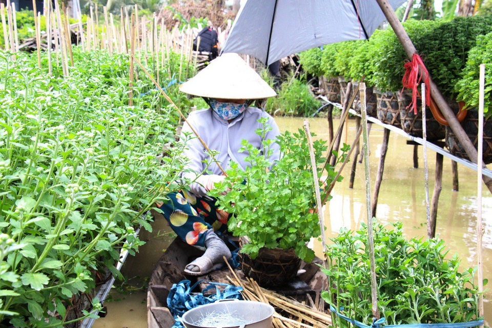 Những ngày này đến các làng trồng hoa, bà con ở ngoài vườn nhiều hơn trong nhà
