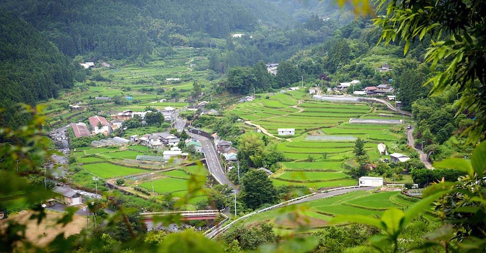 Đến thăm thị trấn nhỏ đẹp mê hồn ở Nhật, khắp nơi không có một cọng rác - 1 Bẻ đẹp bình yên và trong lành của thị trấn Kamikatsu nhìn từ trên cao