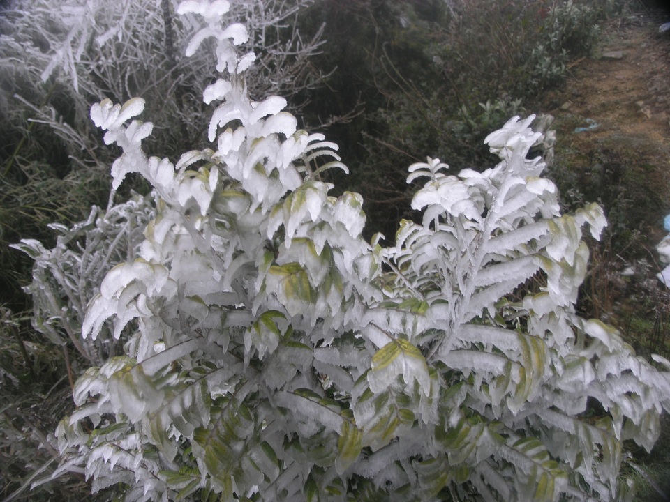 Hình ảnh băng tuyết kỳ thú trên đèo Ô Quý Hồ - 5 Hình ảnh băng tuyết kỳ thú trên đèo Ô Quý Hồ - 5