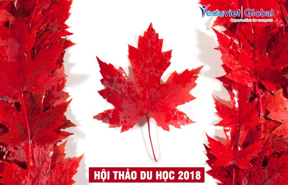 Du học Canada: Lộ trình thẳng tiến Đại học - Rộng mở định cư - 1
