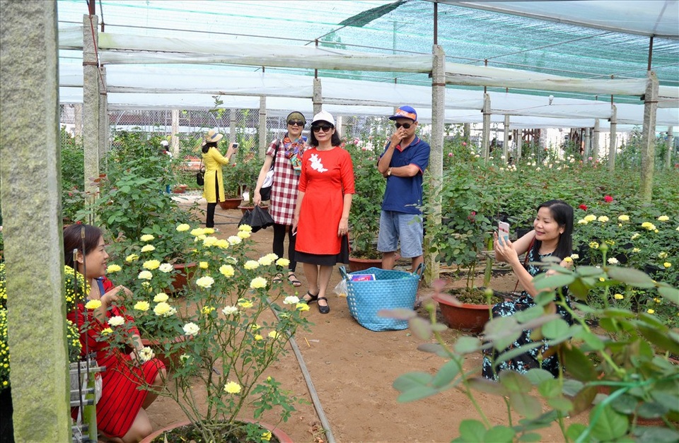 Vườn hồng “độc”, “dị” ở Sa Đéc - 11 Vì vậy Vườn Hồng Tư Thắng được nhiều người đến ngắm nhìn và thích thú chụp ảnh lưu niệm (Ảnh: Lục Tùng)