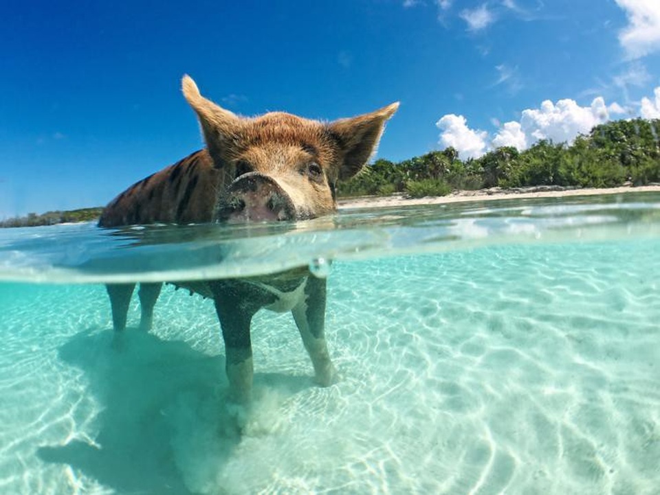 Những địa danh bị “hủy hoại” bởi du lịch - 11