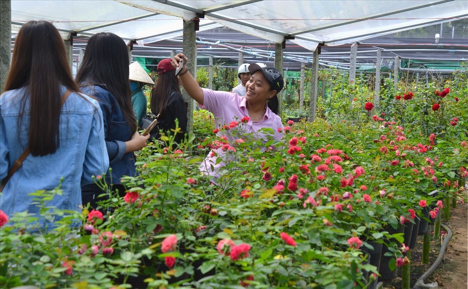 Vườn hồng “độc”, “dị” ở Sa Đéc - 12 Du khách thoải mái đi-lại trong khu vườn rộng lớn (Ảnh: Lục Tùng)