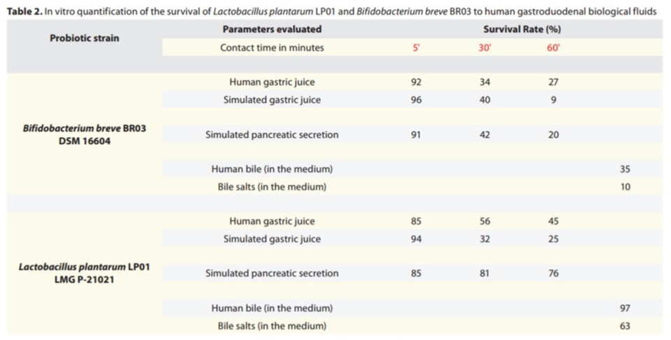 Công nghệ bao phim lợi khuẩn giúp tăng hiệu quả thực phẩm bảo vệ sức khỏe - 2