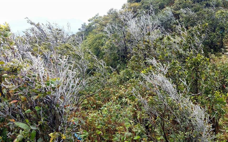 Mẫu Sơn âm 0,3 độ C, băng giá phủ trắng - 3 Mẫu Sơn âm 0,3 độ C, băng giá phủ trắng - 3