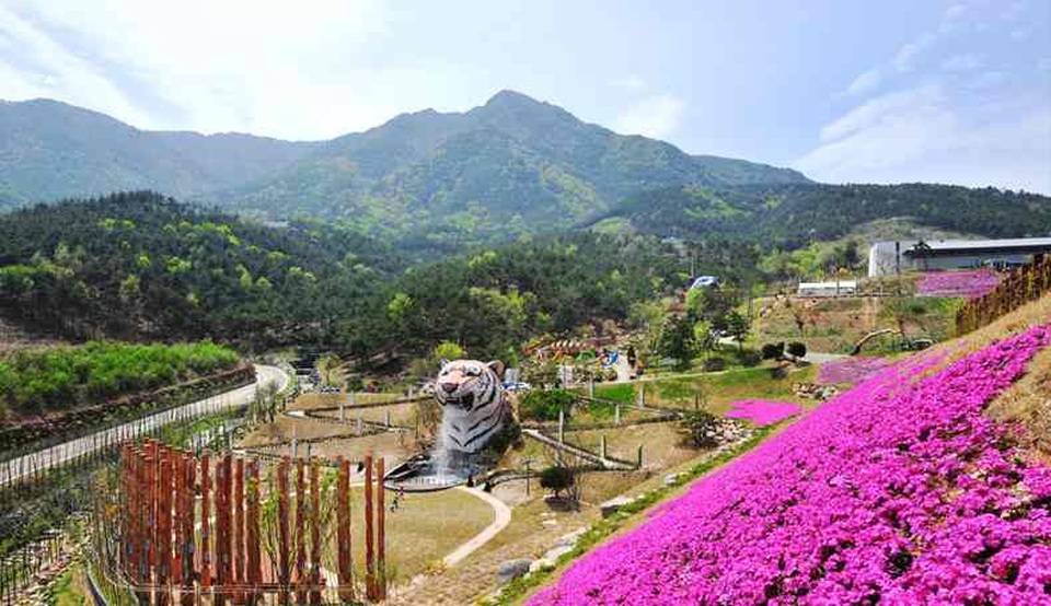 Không ngờ HLV đội tuyển U23 VN có quê hương đẹp thế này - 7 Không ngờ HLV đội tuyển U23 VN có quê hương đẹp thế này - 7