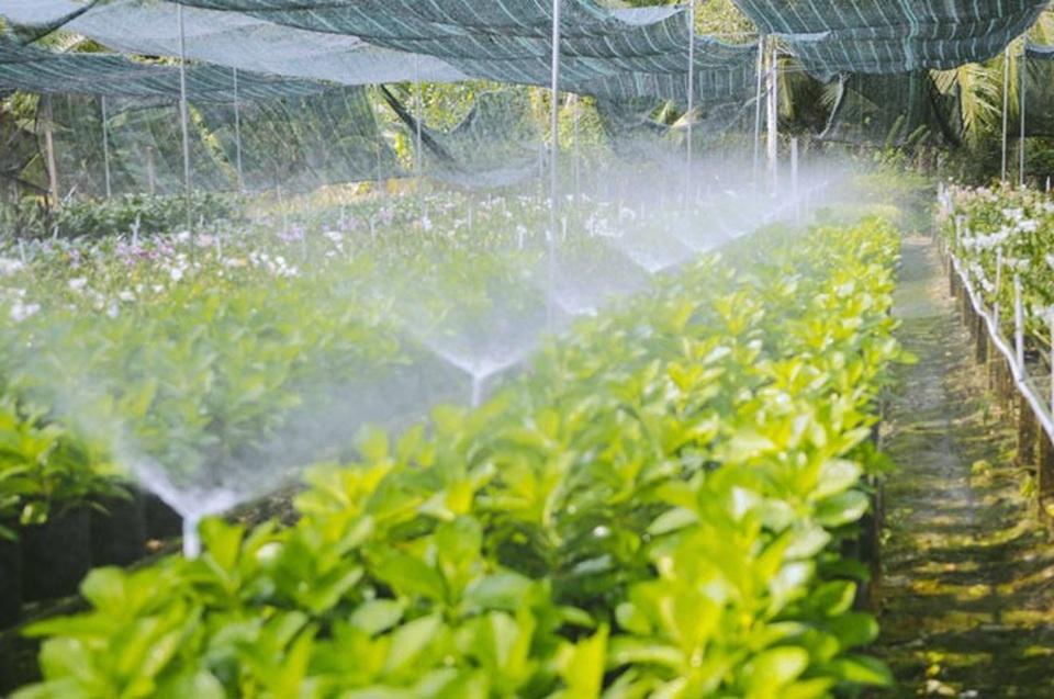 Không thể tin nổi giữa Sài Gòn có cánh đồng hoa đẹp đến thế! - 13 Không thể tin nổi giữa Sài Gòn có cánh đồng hoa đẹp đến thế! - 13