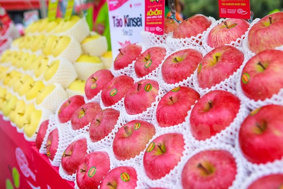 Táo Nhật to như quả bưởi, giá nửa triệu đồng/kg ồ ạt vào Việt Nam - 3
Các trái táo Nhật Bản được bày biện bắt mắt tại một siêu thị ở Hà Nội. Ảnh: I.T