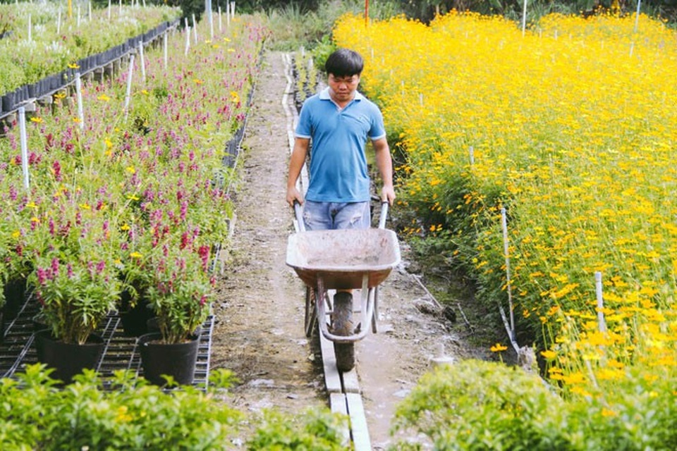 Không thể tin nổi giữa Sài Gòn có cánh đồng hoa đẹp đến thế! - 3 Không thể tin nổi giữa Sài Gòn có cánh đồng hoa đẹp đến thế! - 3