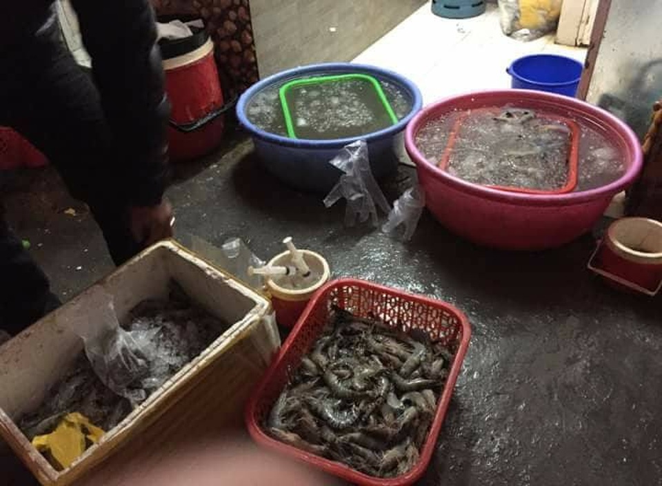 Hà Nội: Bắt quả tang cơ sở đang bơm tạp chất vào tôm - 3 Số lượng tôm của cơ sở ông Công đang bơm tạp chất thì bị lực lượng chức năng phát hiện (Ảnh: Cấn Linh)
