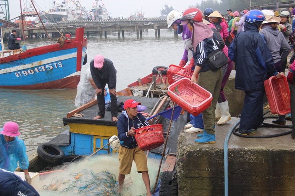Ngư dân phấn khởi vươn khơi đánh bắt hải sản đầu năm - 1 Ngư dân vận chuyển những mẻ cá tươi vừa đánh bắt được trong chuyến biển đầu năm