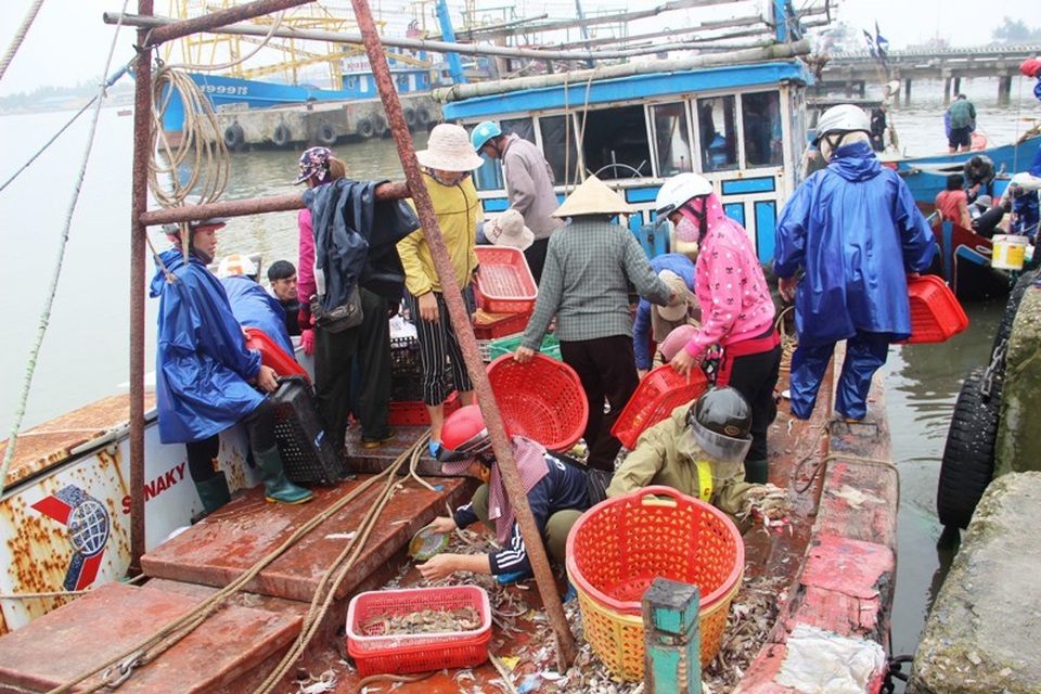 Ngư dân phấn khởi vươn khơi đánh bắt hải sản đầu năm - 2 Khung cảnh tấp nập tại cảng cá Cửa Việt, tỉnh Quảng Trị