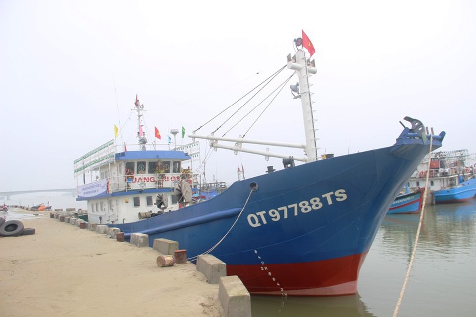 Ngư dân phấn khởi vươn khơi đánh bắt hải sản đầu năm - 5 Ngư dân phấn khởi vươn khơi đánh bắt hải sản đầu năm - 5