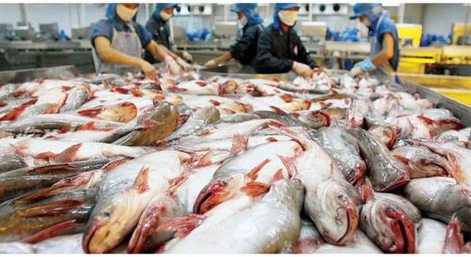 Sa sút vì lỗ “khủng”, cổ phiếu “vua cá” Hùng Vương bị đưa vào diện kiểm soát - 1 Sa sút vì lỗ “khủng”, cổ phiếu “vua cá” Hùng Vương bị đưa vào diện kiểm soát - 1