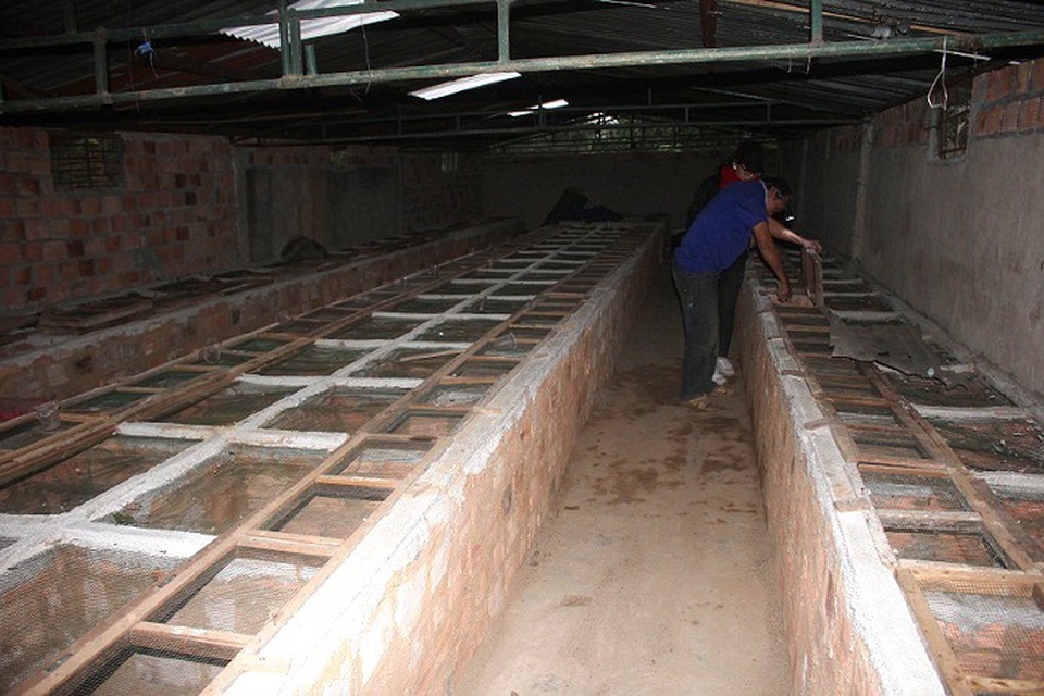 Lão nông thu nhập "khủng" từ nuôi rắn hổ trâu - 3 Trang trại khủng của lão nông Lê Văn Vân