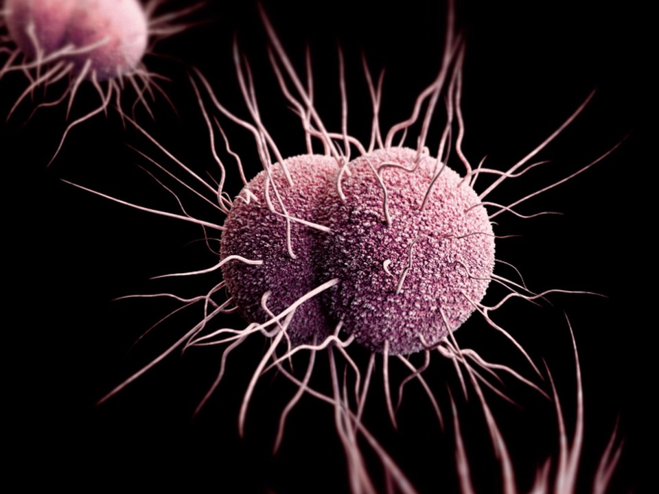 9 bệnh nguy hiểm sẽ có vắc xin trong thập kỷ tới - 1