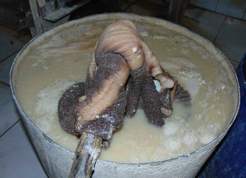 “Hô biến” sách bò đen thui thành trắng toát - 2 “Hô biến” sách bò đen thui thành trắng toát - 2