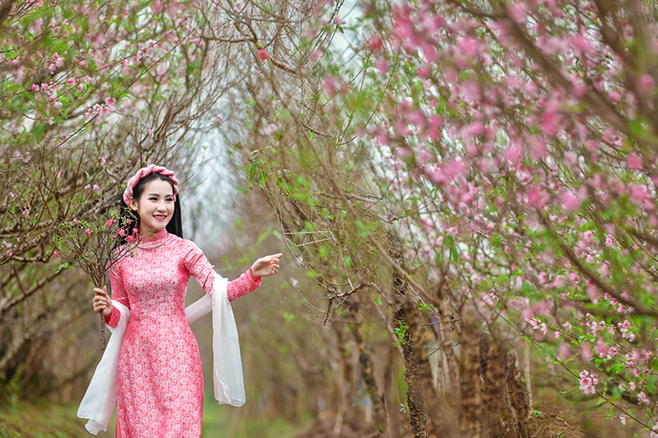 Rộn rịp thiếu nữ xinh đẹp chụp ảnh vườn đào đón Tết - 11 Rộn rịp thiếu nữ xinh đẹp chụp ảnh vườn đào đón Tết - 11