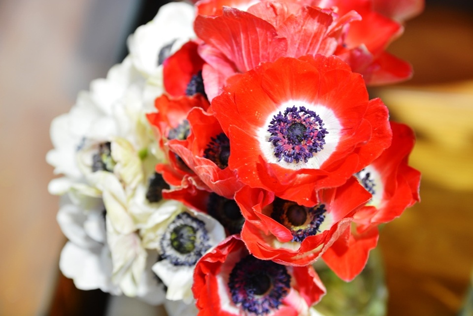 Hoa “độc”, lạ ồ ạt về Sài Gòn phục vụ Tết - 2