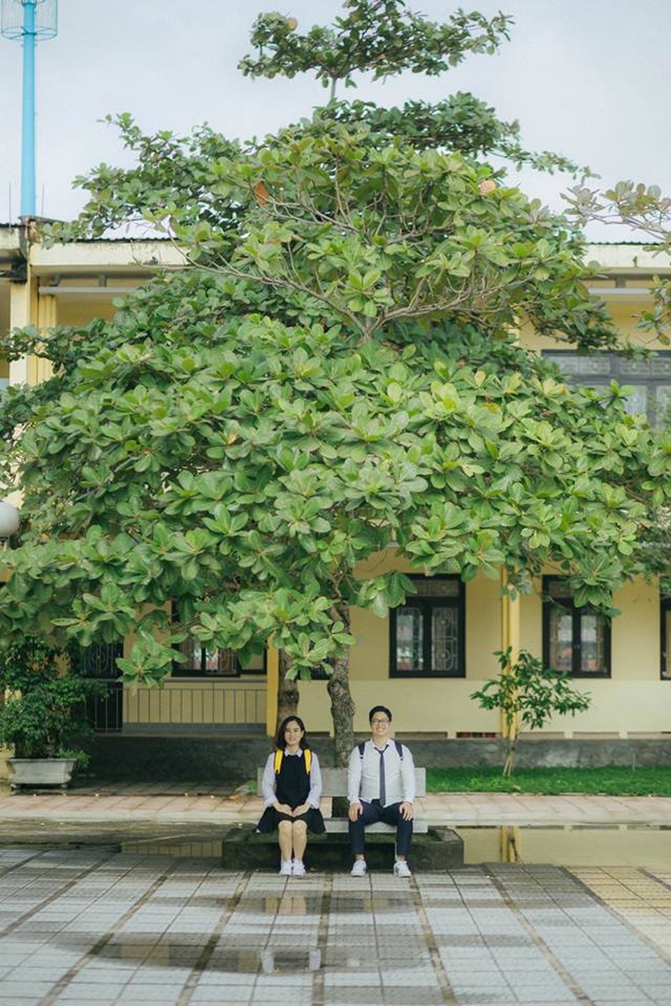 Bộ ảnh cưới “ghế đá sân trường” của cặp đôi từng... ghét nhau - 4 Bộ ảnh cưới “ghế đá sân trường” của cặp đôi từng... ghét nhau - 4
