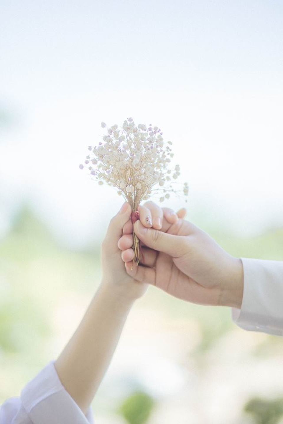 Bộ ảnh cưới “ghế đá sân trường” của cặp đôi từng... ghét nhau - 13 Bộ ảnh cưới “ghế đá sân trường” của cặp đôi từng... ghét nhau - 13
