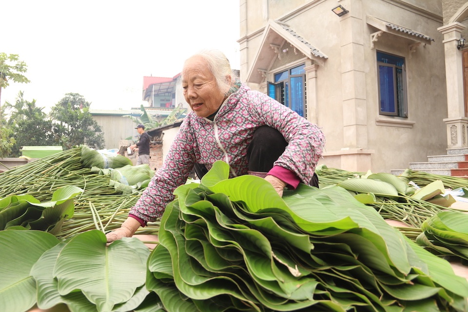 Làng lá dong lớn nhất Hà Nội tất bật vào vụ Tết - 7 Làng lá dong lớn nhất Hà Nội tất bật vào vụ Tết - 7