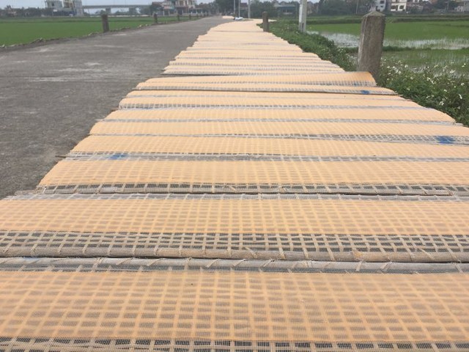 Làng bánh tráng bên sông Gianh hối hả vào vụ Tết - 3 Làng bánh tráng bên sông Gianh hối hả vào vụ Tết - 3