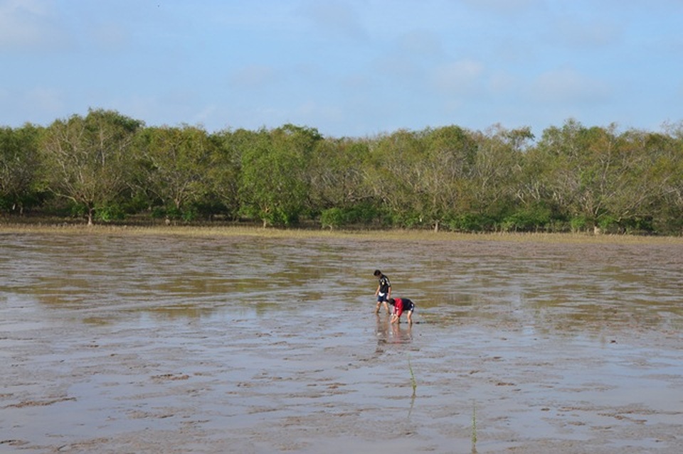 Sai phạm hàng trăm triệu đồng tại 2 dự án thí điểm trồng rừng, chỉ kiến nghị… rút kinh nghiệm! - 1 Sai phạm hàng trăm triệu đồng tại 2 dự án thí điểm trồng rừng, chỉ kiến nghị… rút kinh nghiệm! - 1