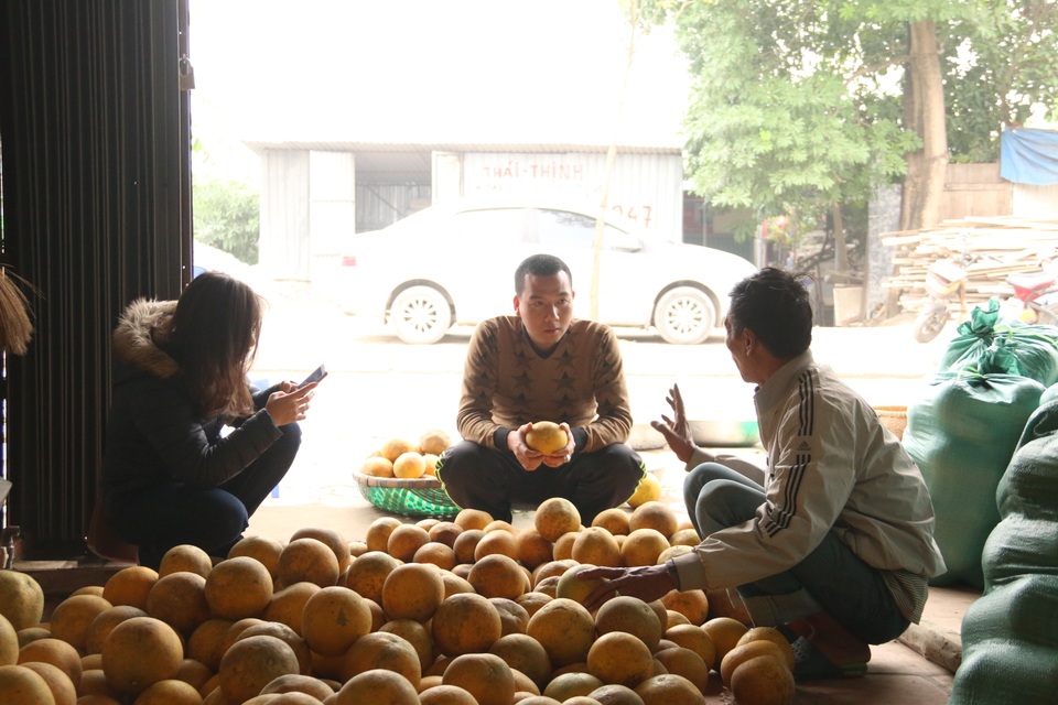 Hoa quả Tết: Hái tận vườn, bán giá khủng vẫn “cháy hàng” - 5