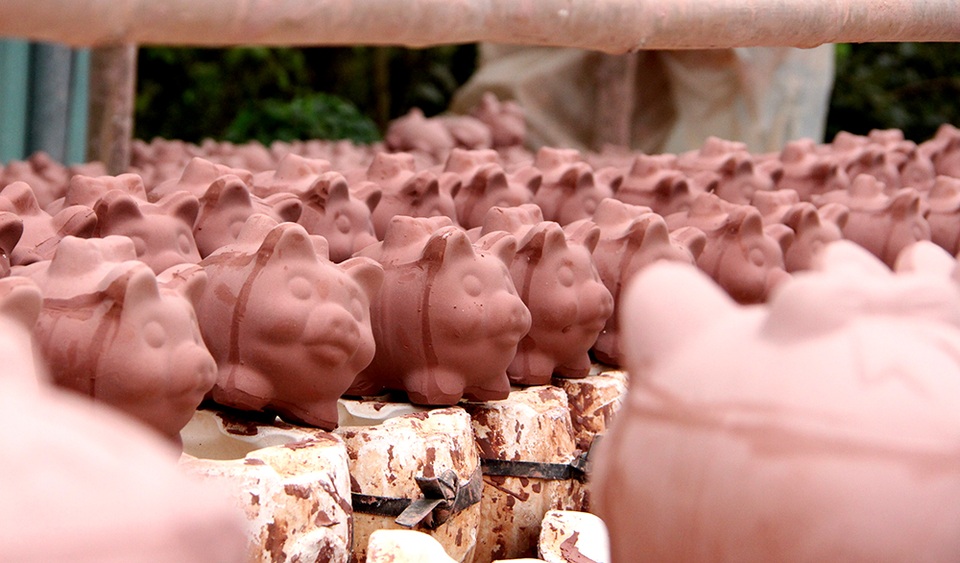 Những chú heo vàng đón Tết Kỷ Hợi được chào đời như thế nào? - 7 Những chú heo vàng đón Tết Kỷ Hợi được chào đời như thế nào? - 7