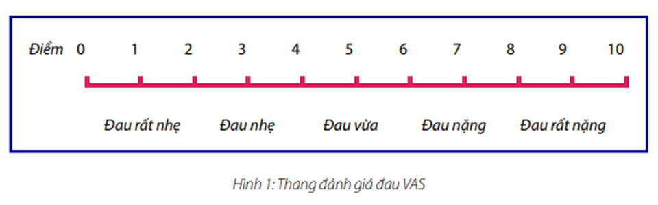 dantri sửa.docx.png dantri sửa.docx.png