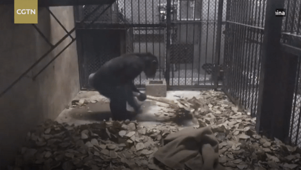 ezgif.com-video-to-gif.gif ezgif.com-video-to-gif.gif