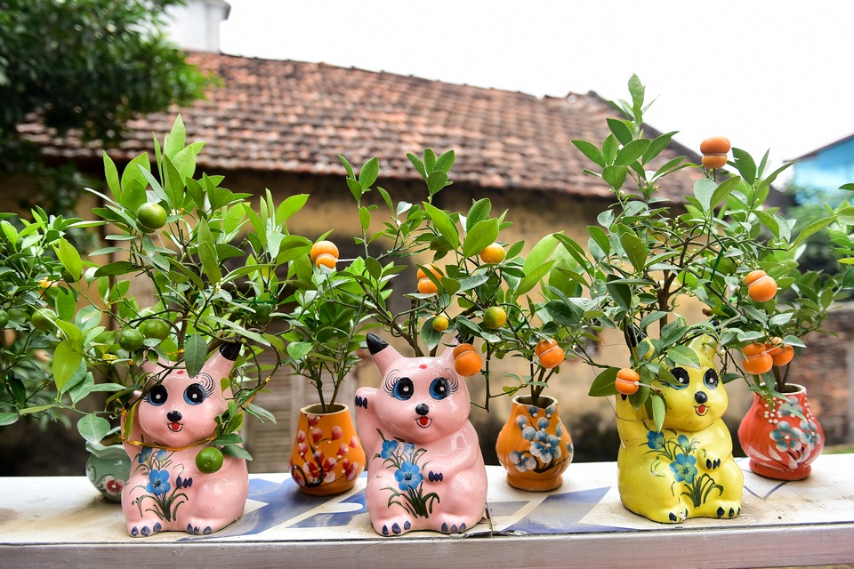 Độc nhất vô nhị quất hình hồ lô cháy hàng dịp Tết - 13 Độc nhất vô nhị quất hình hồ lô cháy hàng dịp Tết - 13