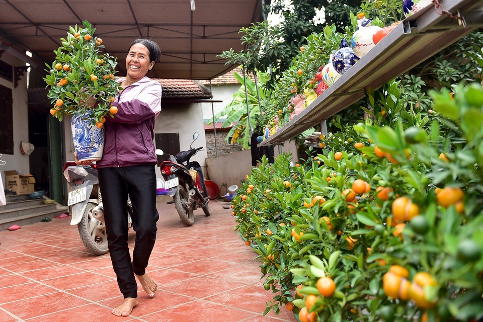 Độc nhất vô nhị quất hình hồ lô cháy hàng dịp Tết - 7 Độc nhất vô nhị quất hình hồ lô cháy hàng dịp Tết - 7