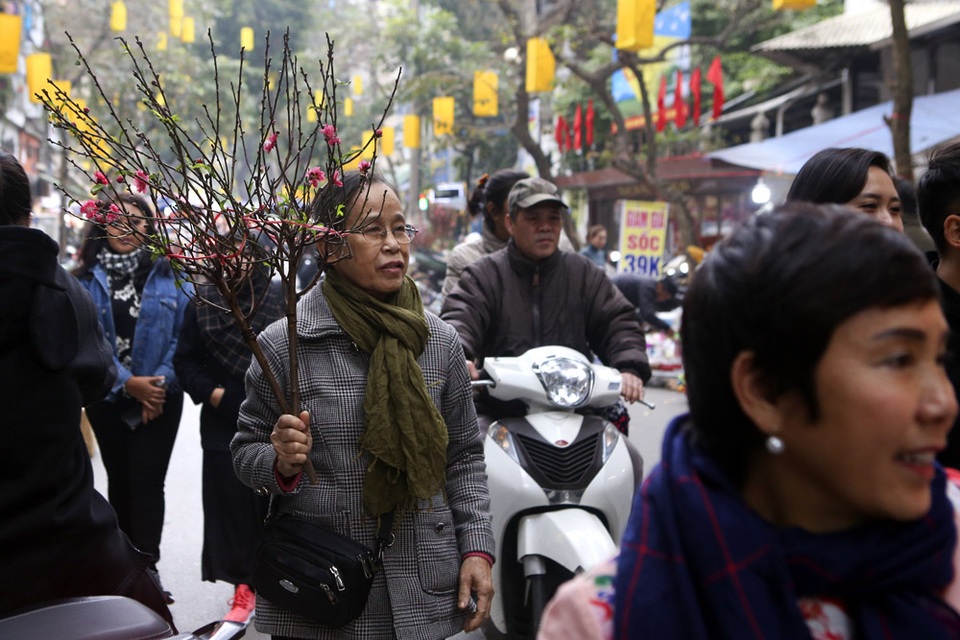 Chợ hoa phố cổ Hà Nội nhộn nhịp đón Tết - 7 Chợ hoa phố cổ Hà Nội nhộn nhịp đón Tết - 7